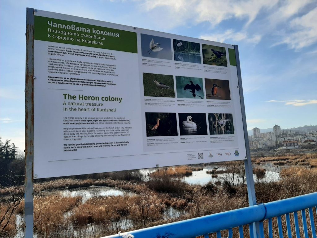 кърджали птиче съкровище