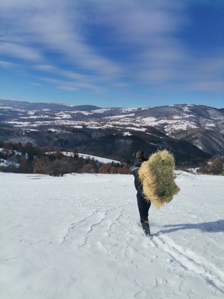 подхранване благоевград