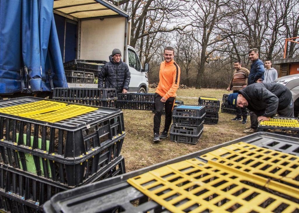 хасково разселване