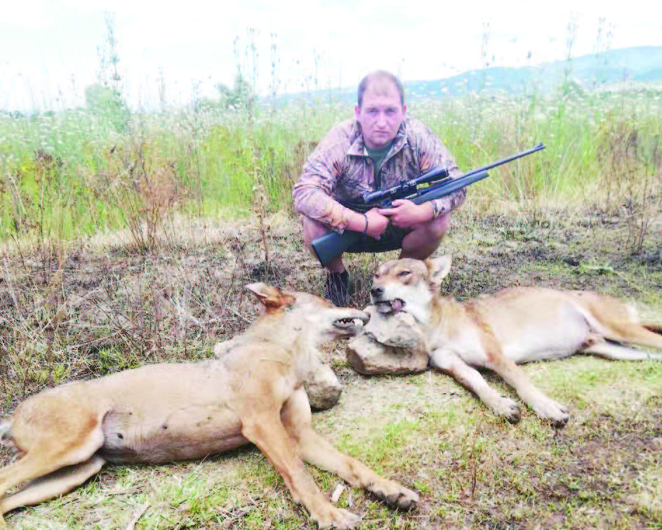 на югозапад хищници