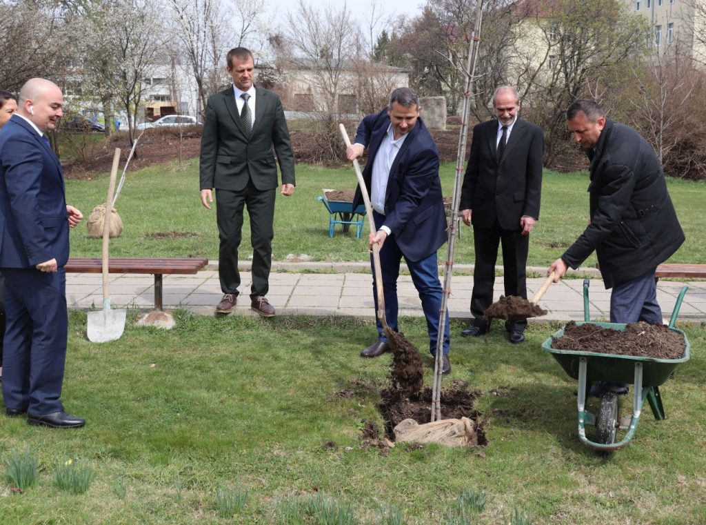 седмицата на гората