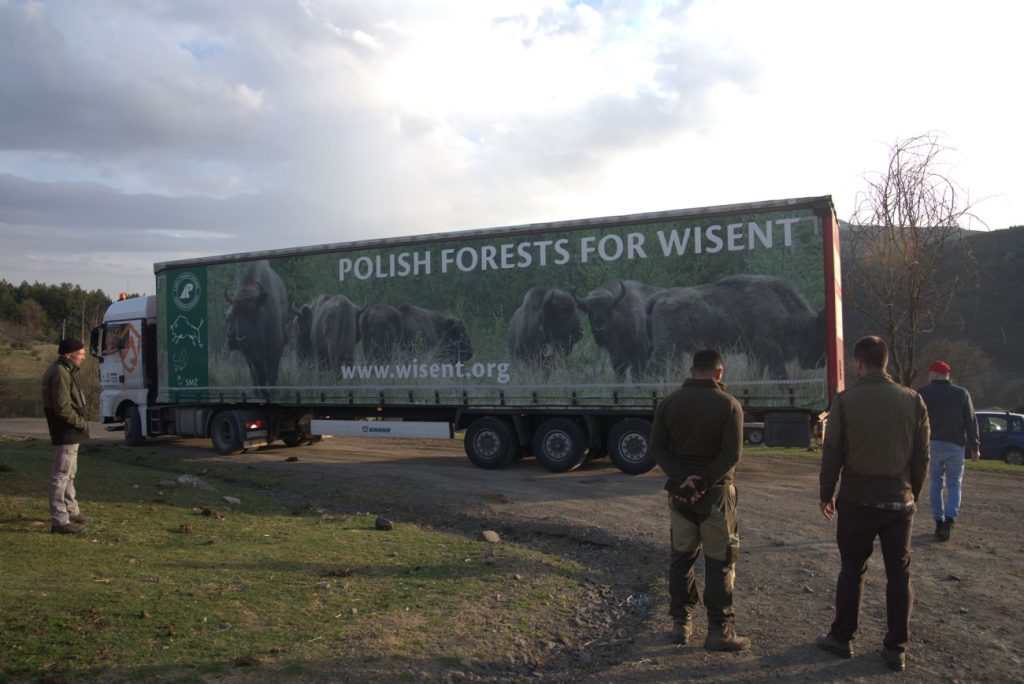 зубри ду студен кладенец