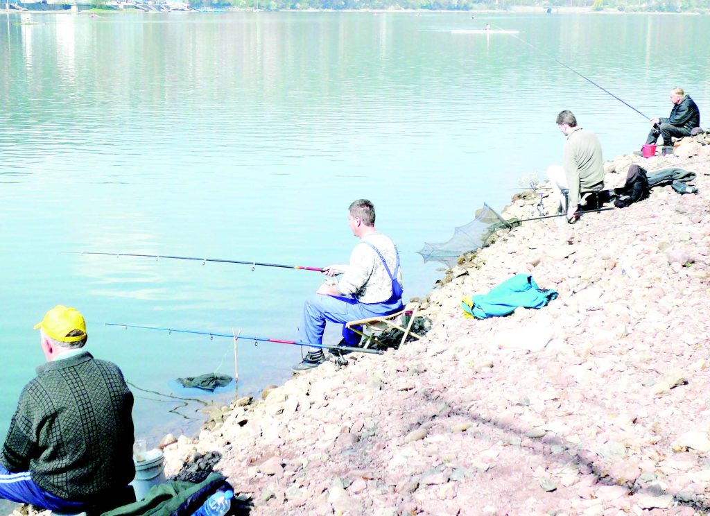 платиката панчарево