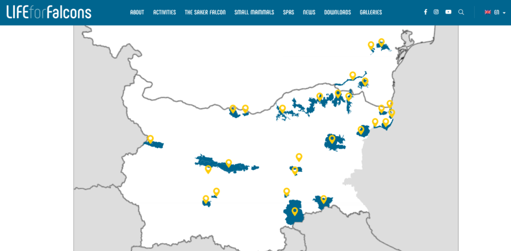 сайт живот за сокола