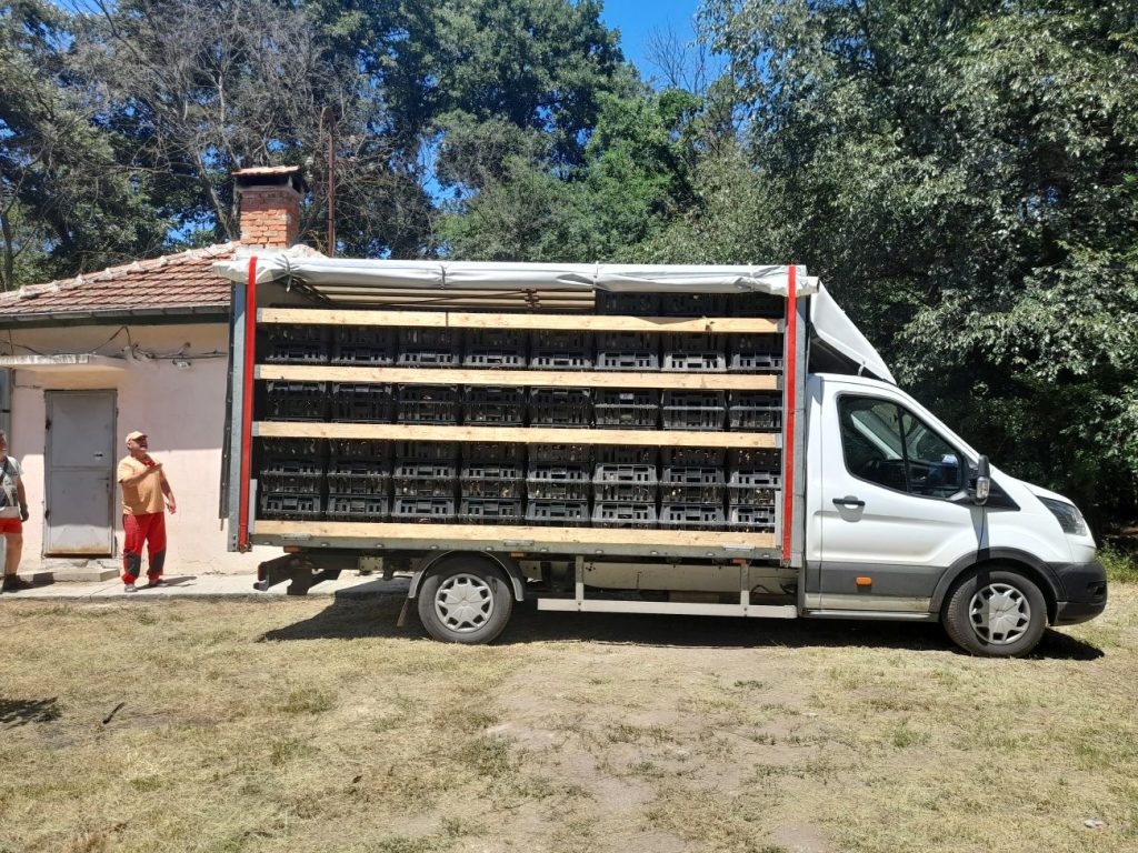 стара загора фазанчета