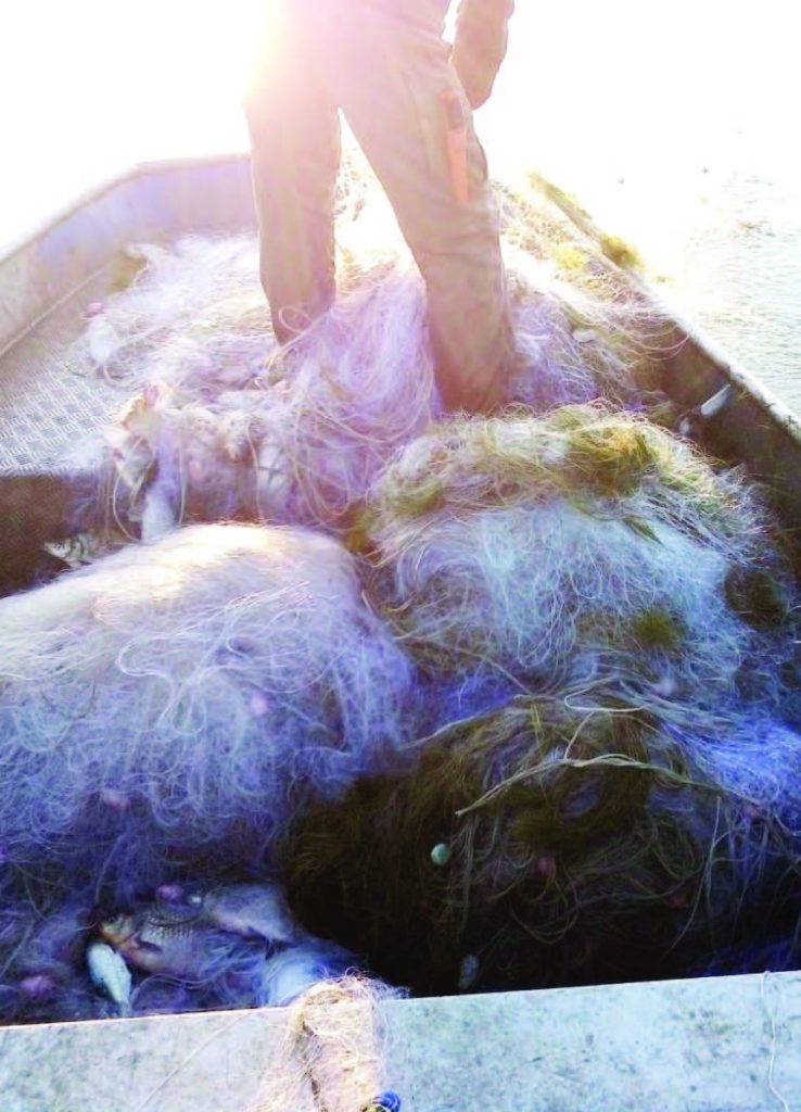 мрежи мандра