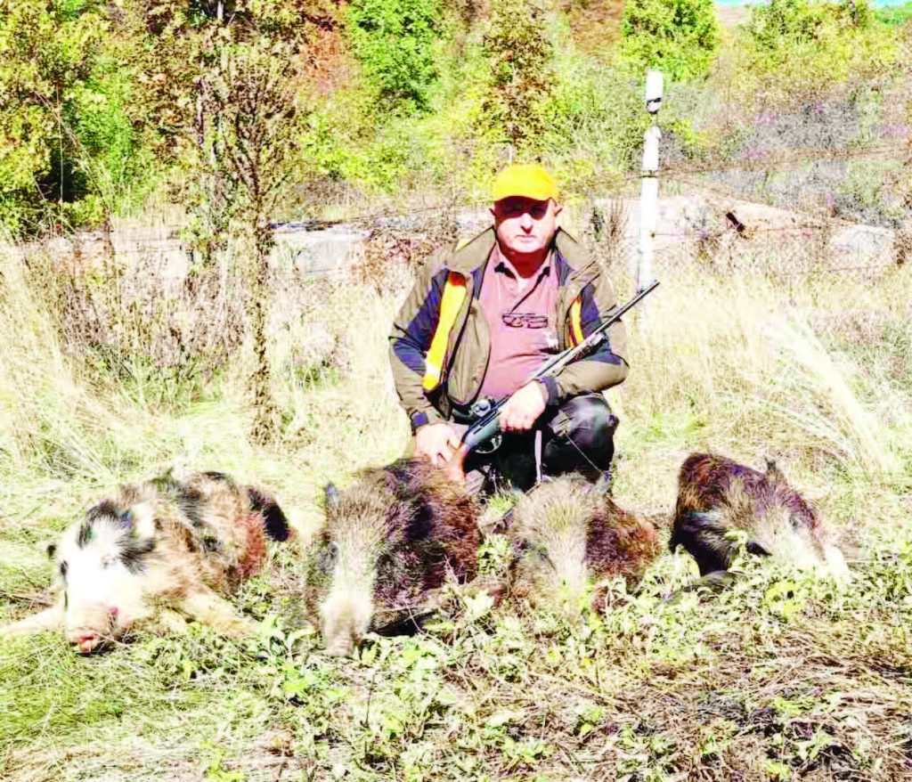 монтана хищници