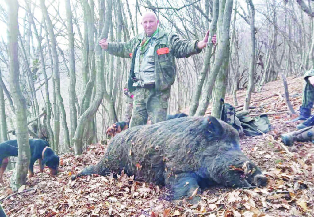 трявна хищници