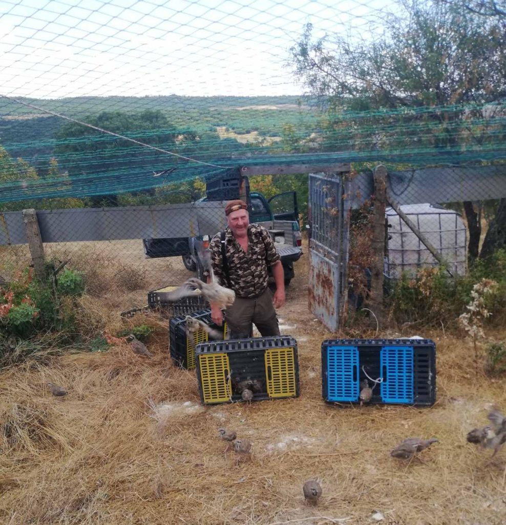 свиленград грижи