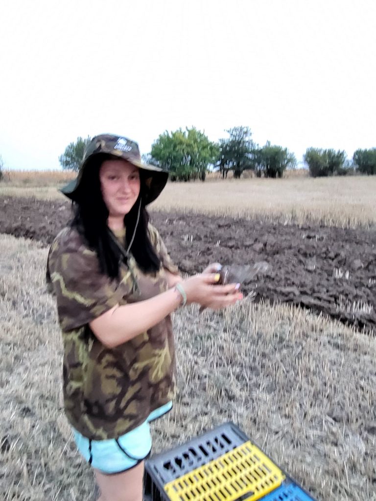 разселване долна митрополия