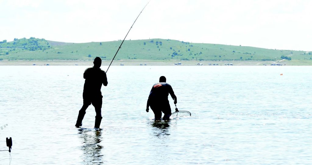 жребчево биваци