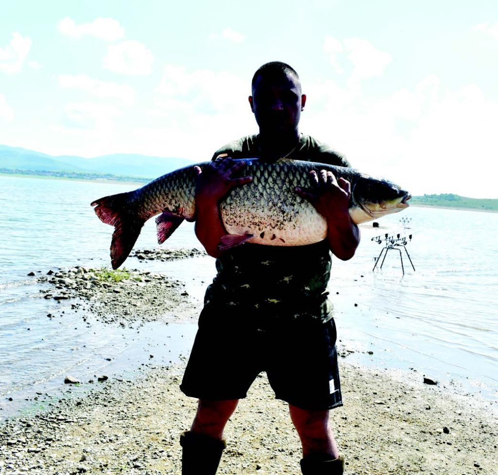 жребчево биваци