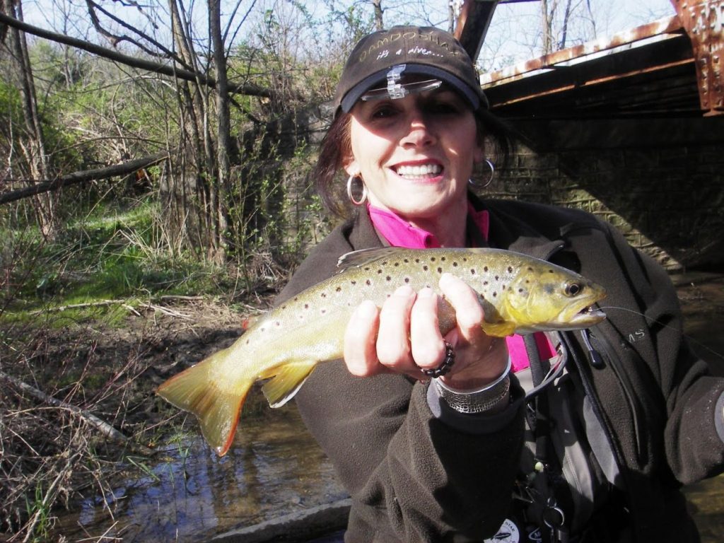 4 месеца забрана