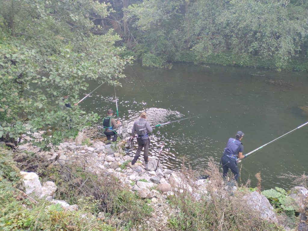 "мач на звездите"
