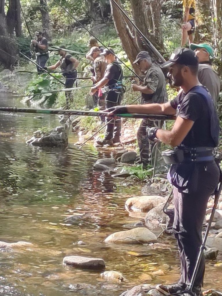 "мач на звездите"