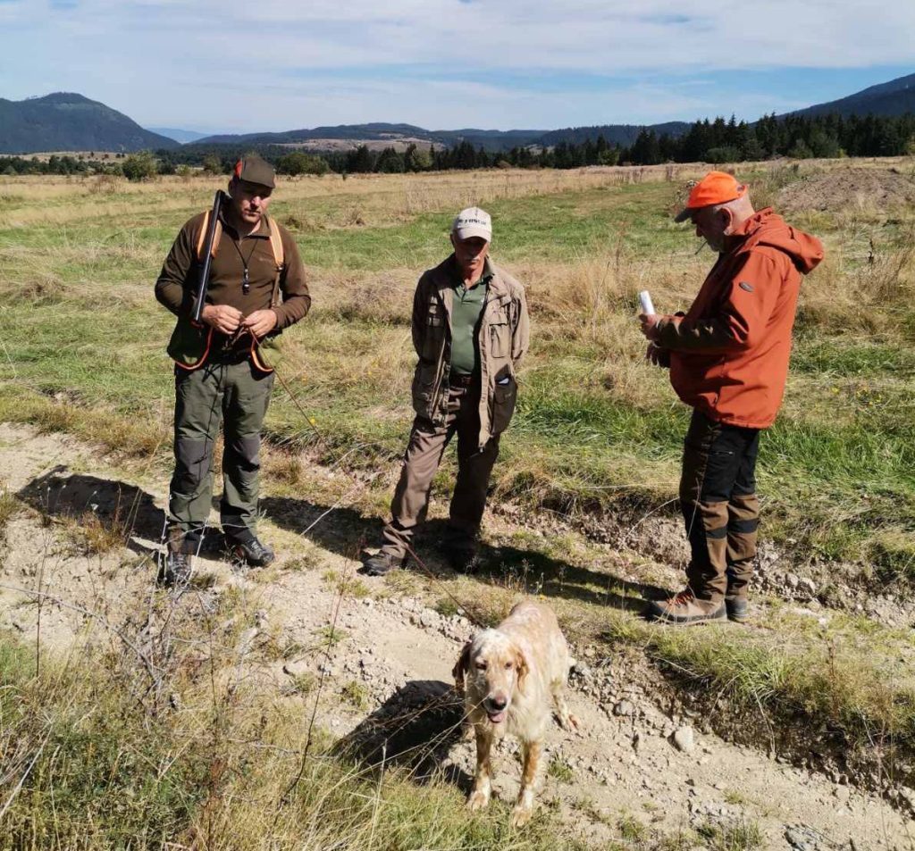 НАЦИОНАЛЕН КЛУБ АНГЛИЙСКИ СЕТЕР БЪЛГАРИЯ 