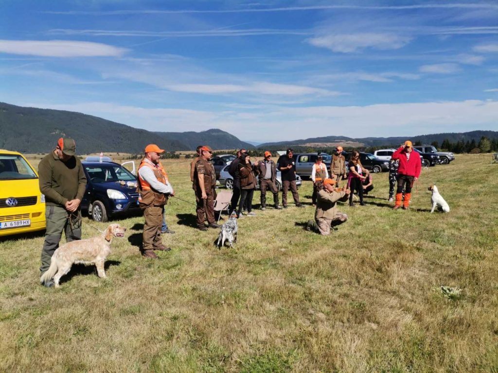 НАЦИОНАЛЕН КЛУБ АНГЛИЙСКИ СЕТЕР БЪЛГАРИЯ 