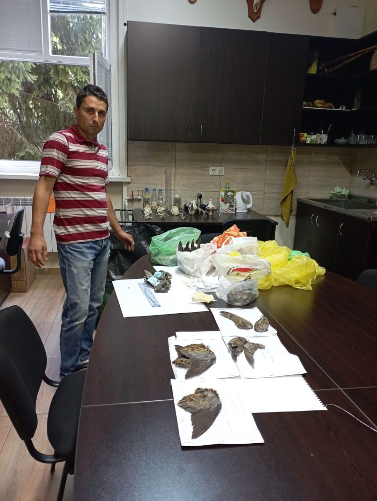 крила от гургулици