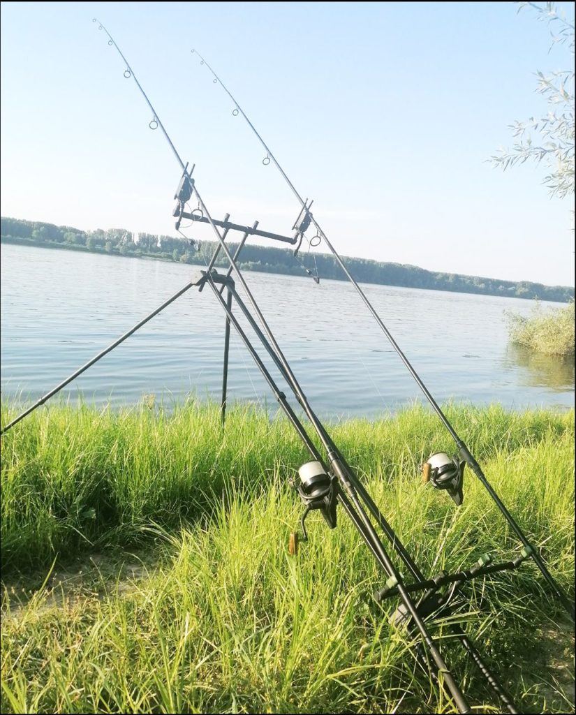 дунав бял амур