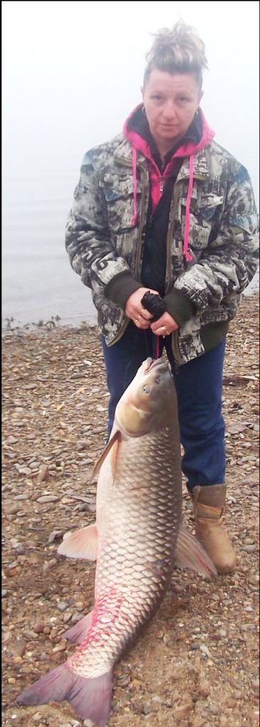 дунав бял амур