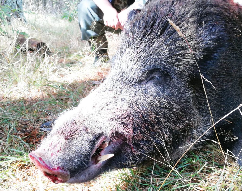 велико търново