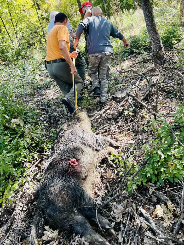 ковачевец лов