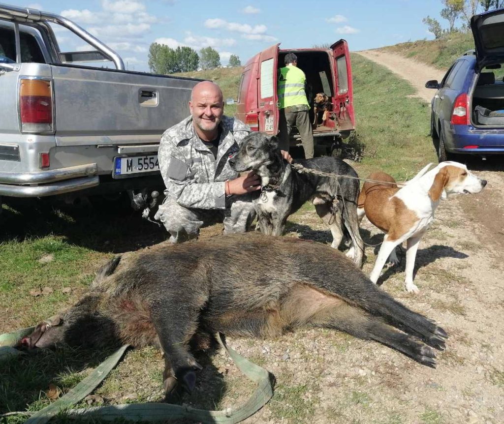 крива бара лов