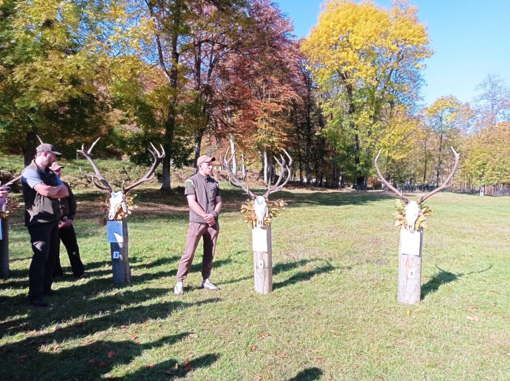 изложение в длс росица