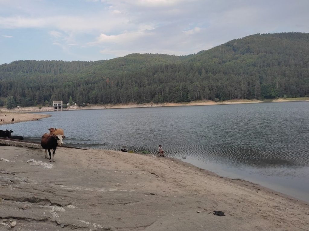 нощен риболов батак