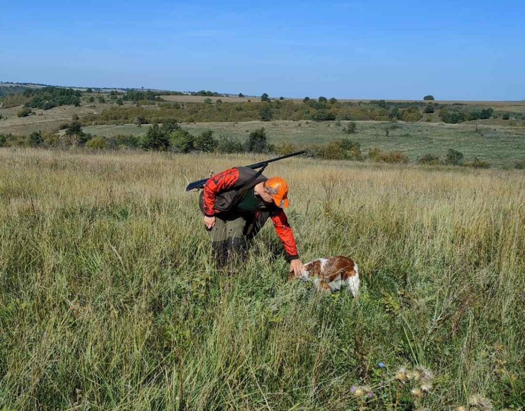 ловеч победителите