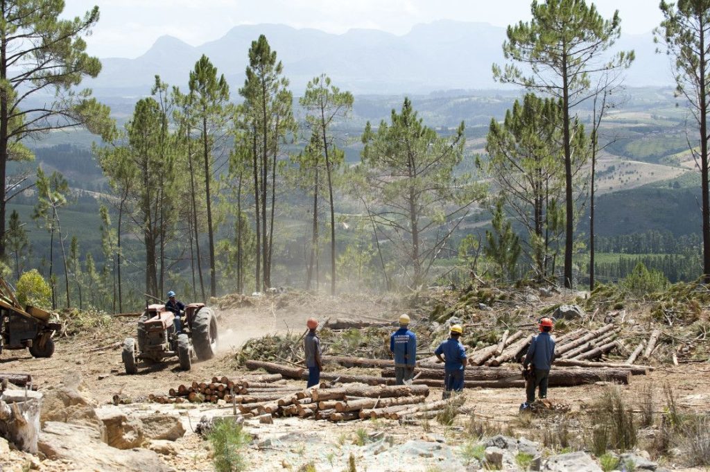 аршин институции