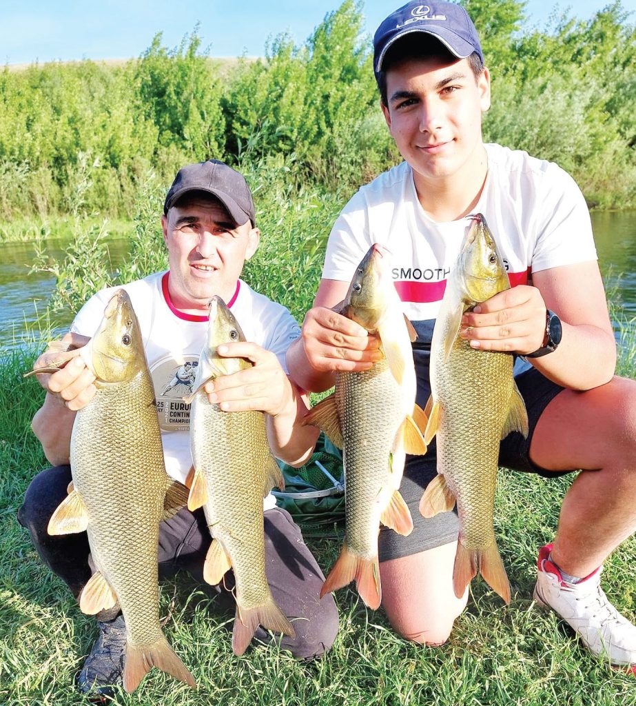 бяла мряна огоста