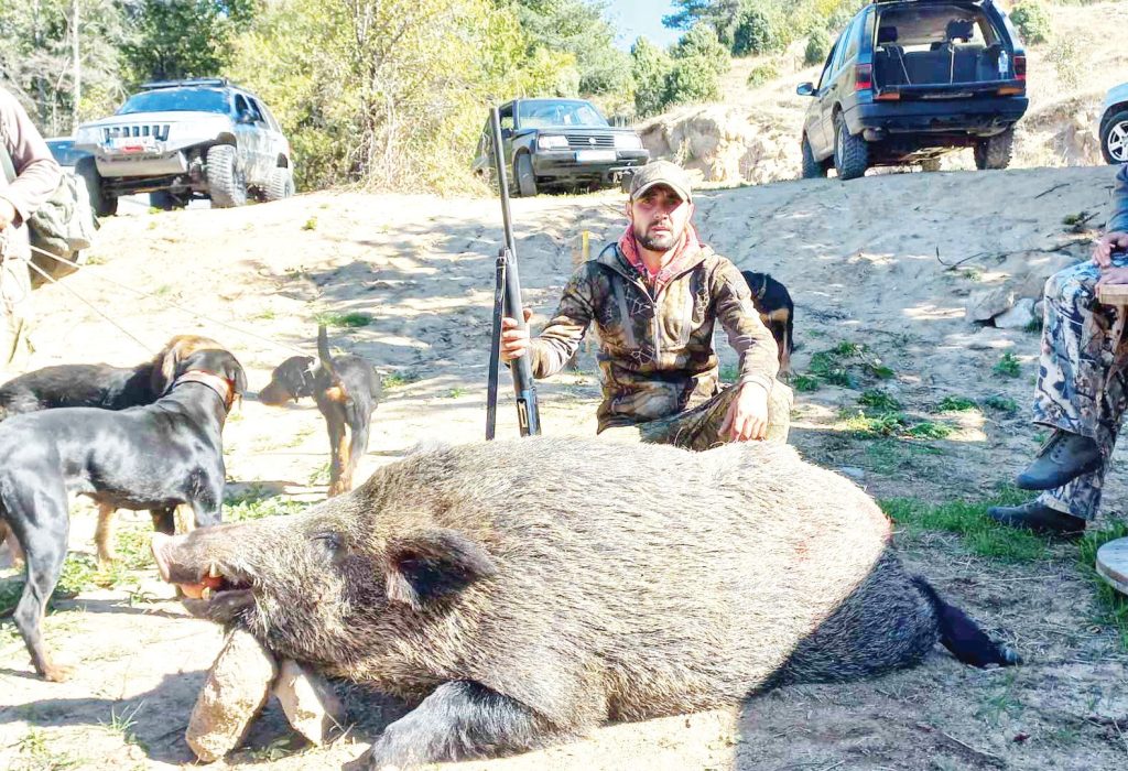 сенокос лов