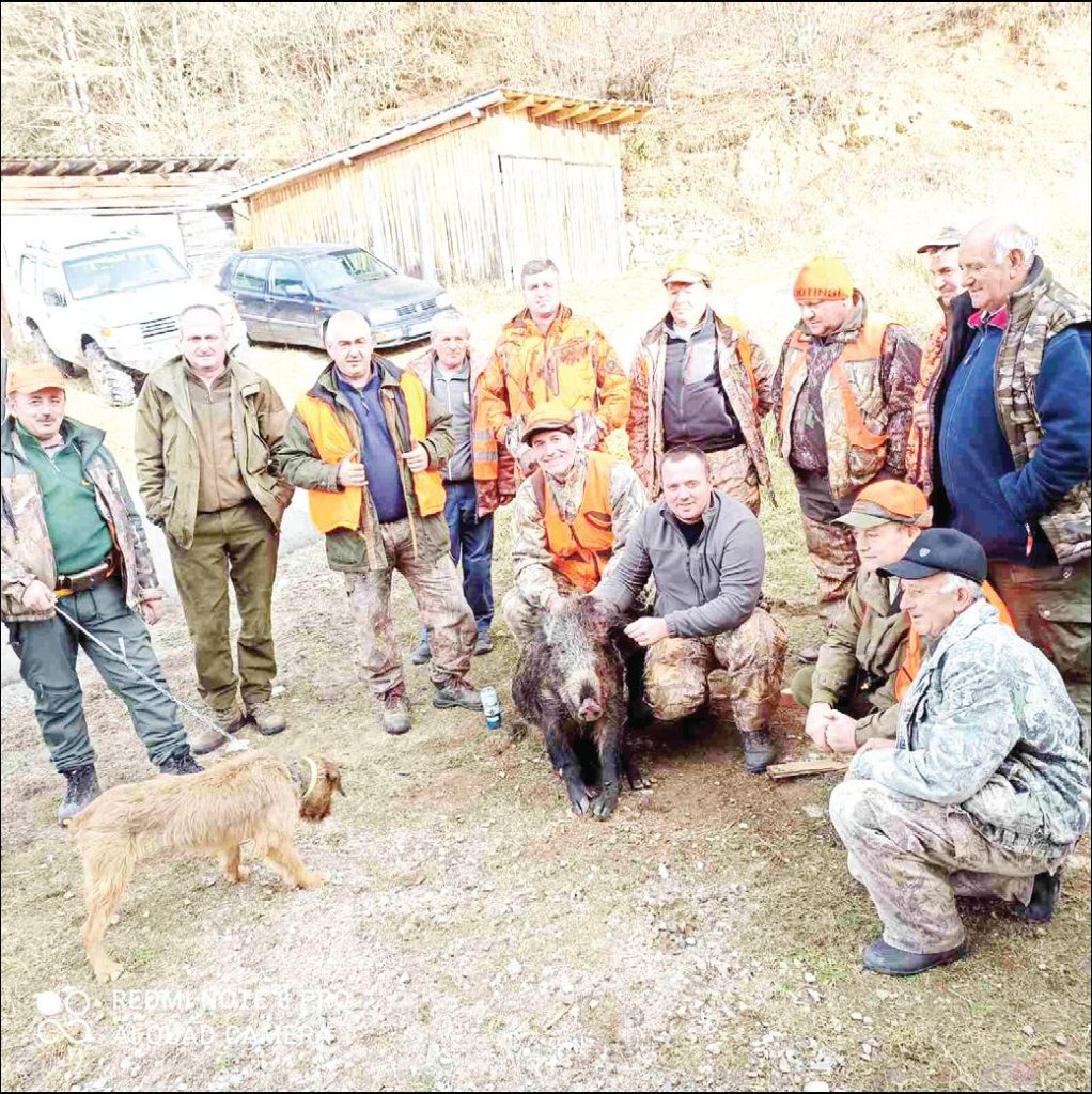 смолян диви свине