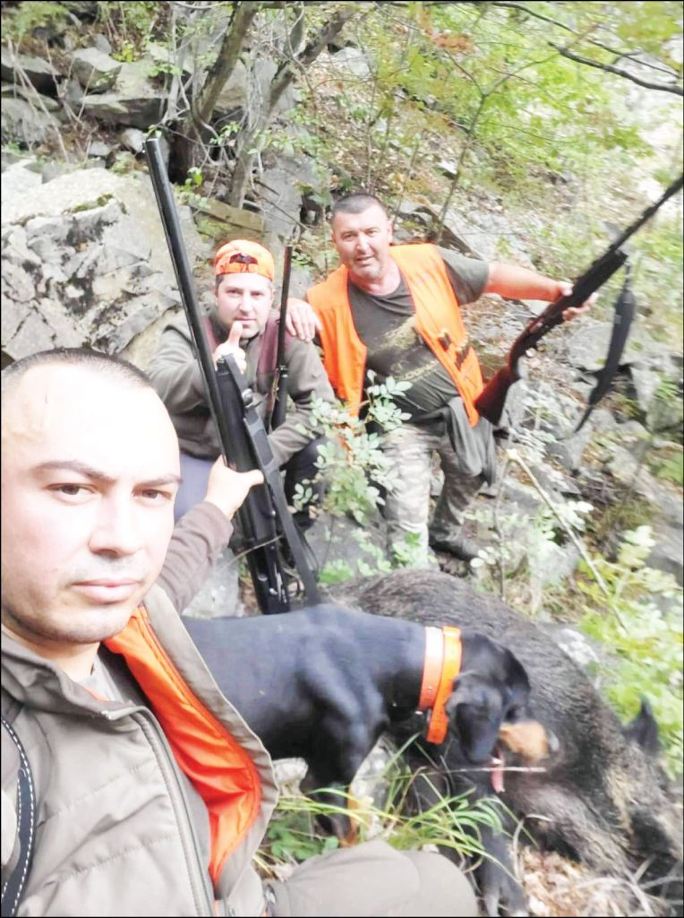 смолян диви свине