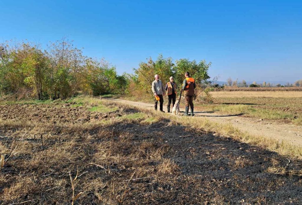 световно сърбия