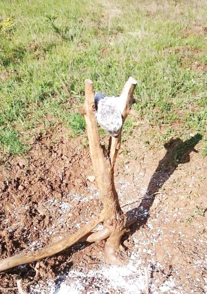 благоевград подхранване