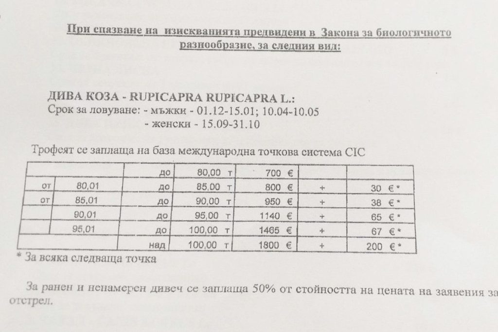 настан дива коза