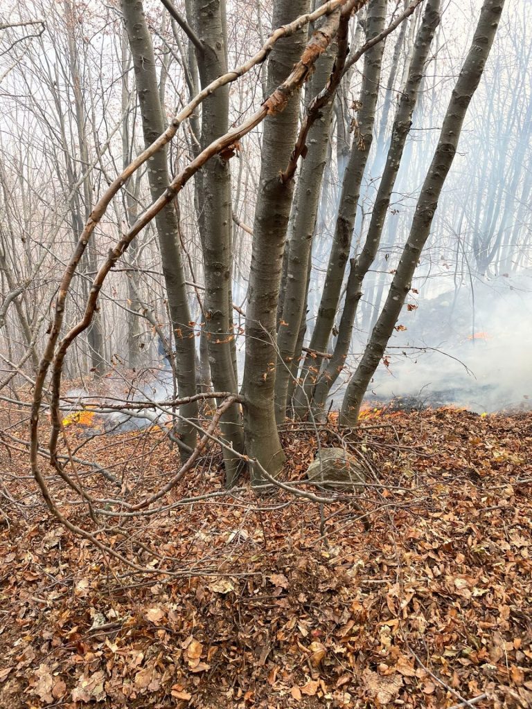 кирково пожар