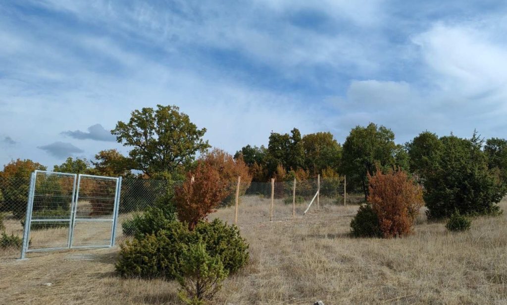 лопатари мост арда