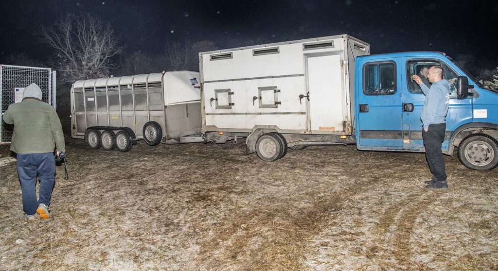 слрб по проект