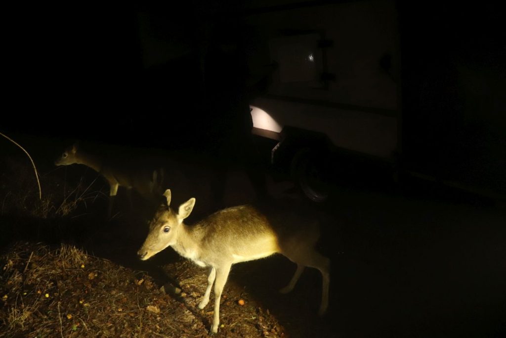 лопатара проект