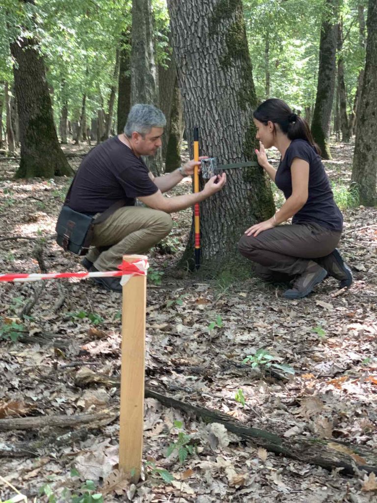 стипендианти лесотехническият университет