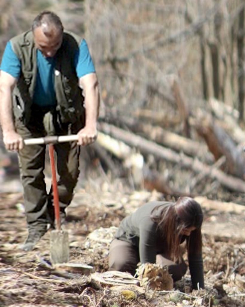стипендианти лесотехническият университет