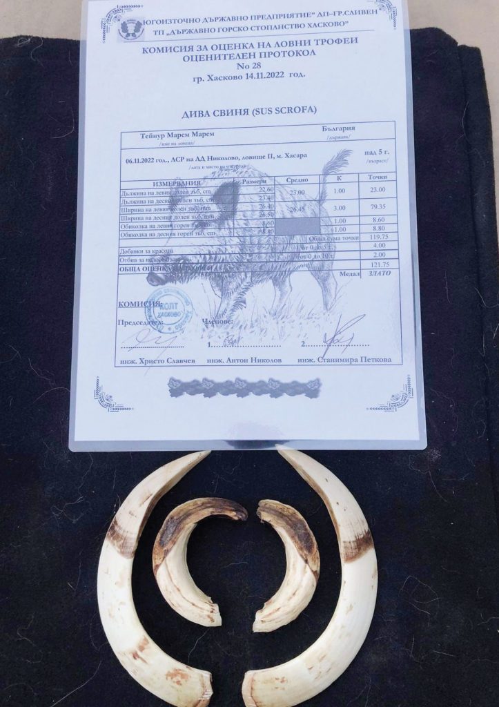 николово златен медал