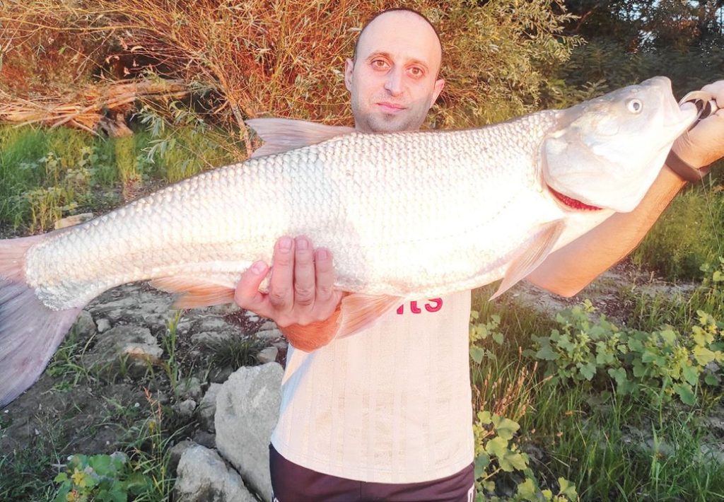 конкурс в. Рибар