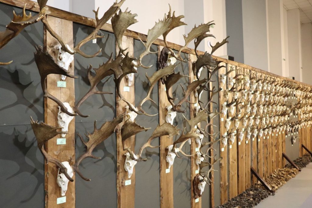 национална трофейна изложба