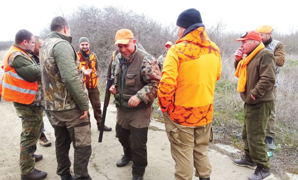 елхово чакали