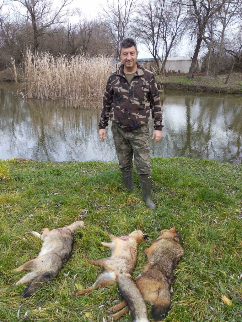 горна оряховица хищници