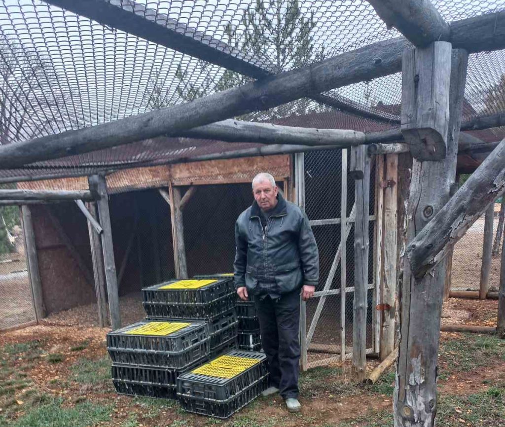 пролетното разселване